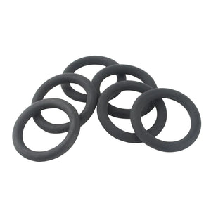 Perfluoroether sealing ring